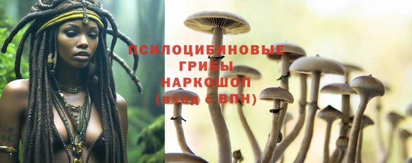 Альфа ПВП Касимов